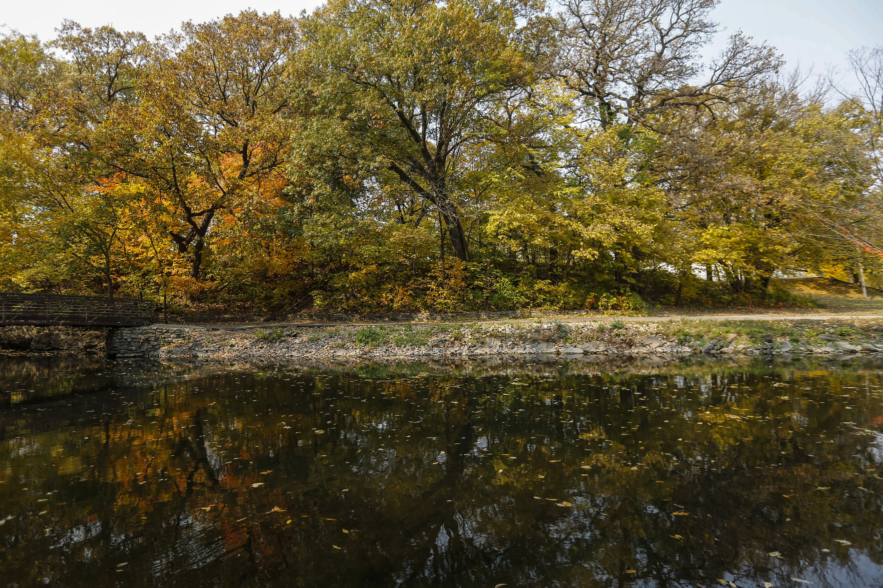 Fall Colors 10